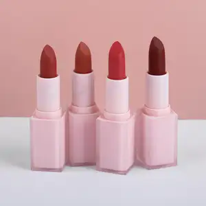 Pink Private Label Velvet Vegan Smooth High pigment Long Lasting Nude Red Custom Logo Lipstick OEM