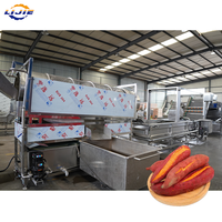 Ligne de traitement électrique fabriquée en Chine pour la production de concentré de patate douce et de protéines végétales, destinée au séchage d'isolats d'ingrédients