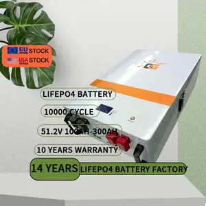 Tuya Power Wall 48V 200ah Batterie Lifepo4 24V 48V 50ah 150ah 100ah 200ah 5kw 10kwh 15kwh 20kwh 51.2V Lifepo4 Batterie