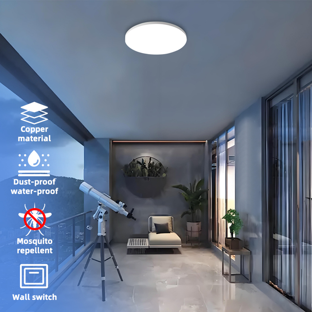 Modern 18W 24W 36W 48W LED Outdoor Flush Mount Smart Ceiling Lamp Round Acrylic Light with 3Cct Color Temperature Metal Base