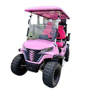 Chariot de golf de chasse de luxe au lithium 48V tout-terrain rose personnalisé chinois 4 places - Product Image 2