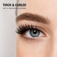 10 paires de faux cils œil de chat, cils en bande effet wispy, pour un look évasé de l'angle extérieur, plateau rose, vente en gros, marque privée