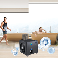 Refroidisseur d'eau ZT 1hp pour bain de glace pour athlètes, refroidisseur de bain de glace pour athlètes avec filtre 220v/110V, machine à bain de glace à circulation d'eau