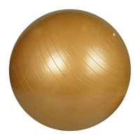 Ballon de yoga pour exercices, équipement de fitness à roulements pour le bureau, la maison et la salle de sport