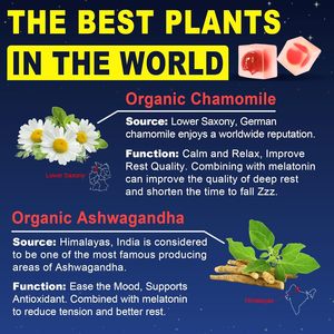 Gomitas llenas de líquido de melatonina de fuerza máxima para adultos Magnesio Ashwagandha B6 B12 Soporta suplementos de relajación profunda Cápsula - Product Image 4