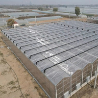 Serre agricole multi-chapiteaux en polycarbonate de grande taille pour la culture de tomates