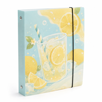 Carpeta de Anillas A5 de Plástico PP con Correa Elástica y Bolsillos Interiores Transparentes de Ancho Completo, Impresión Personalizada, Proveedor OEM ODM