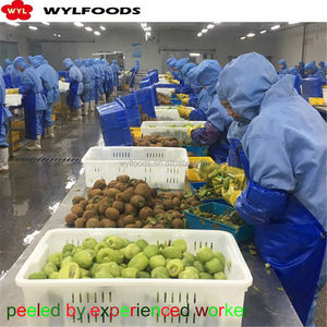 <span class=keywords><strong>Kiwi</strong></span> congelado IQF en rodajas y en cubitos <span class=keywords><strong>Kiwi</strong></span> - Product Image 4