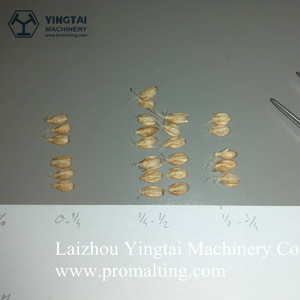 Equipo Automático de Malteado de Tambor para la Producción de Malta Artesanal para Malteadores, Cerveceros, Destiladores, Panaderos, Agricultores y Molineros - Product Image 4