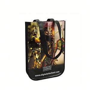 Sedex Audit Factory Ventas directas Precio razonable Bolsa no tejida al por mayor - Product Image 4