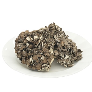 Raw Seco <span class=keywords><strong>Roble</strong></span> Arce Árbol Cultivado Grifola Frondosa <span class=keywords><strong>Seta</strong></span> Gallina <span class=keywords><strong>de</strong></span> las maderas Cabeza <span class=keywords><strong>de</strong></span> carnero para la venta - Product Image 1