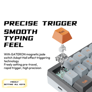 Gateron từ ngọc chuyển đổi sikakeyb lâu đài ck75 83 phím 75% hội trường cảm biến bàn phím từ tính - Product Image 5