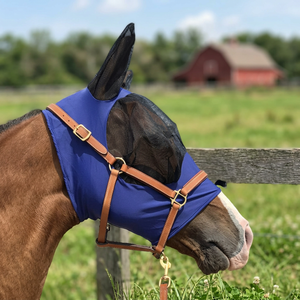 ผ้าคลุมกันแมลงสำหรับม้า Equine Solarium ป้องกันแมลงวันและยุงกัด คุณภาพพรีเมียม - Product Image 3