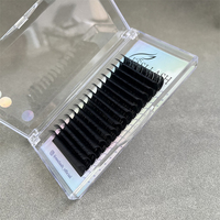 Plateau d'extensions de cils en vison de sibérien, créez votre propre marque, Logo, fait à la main, fournisseur d'extensions de cils en Volume