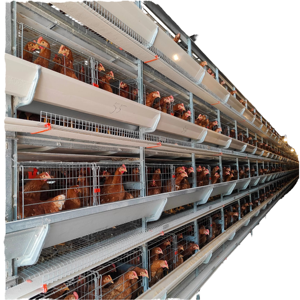 Jaula automática para aves tipo A/H de 3/4 niveles, jaula comercial para pollos, gallinero plegable, jaula para gallinas ponedoras - Product Image 1