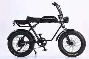 Tricycle électrique puissant à trois roues avec contrôleur intelligent à vitesse unique 48V 600W Économe en énergie - Product Image 5