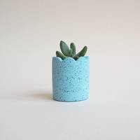 Mini pot à allumettes festonné et moucheté pour plantes succulentes, pot à allumettes de sécurité, support à allumettes personnalisé