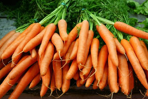 Carotte fraîche <span class=keywords><strong>de</strong></span> nouvelle <span class=keywords><strong>saison</strong></span> à bas prix Carotte fraîche 4kg 10kg Carton Pack Export Fabricant chinois <span class=keywords><strong>de</strong></span> carottes aux <span class=keywords><strong>fruits</strong></span> rouges - Product Image 4