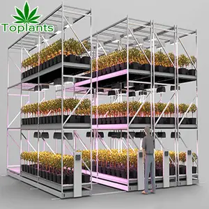 Vertical Farm 8*4 Two-tier Indoor Hydroponic Growing Systems With Air Ventilation