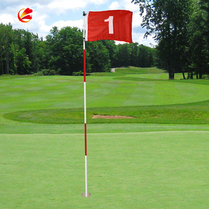 <span class=keywords><strong>Hot</strong></span> Bán Giá Rẻ Màu Sắc Sống Động 100% Polyester Tùy Chỉnh Mini Golf Lỗ Cờ - Product Image 6