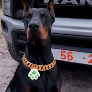 Localizador GPS personalizado para mascotas, conexión de teléfono, dispositivo antipérdida, rastreador multifunción para gatos - Product Image 1