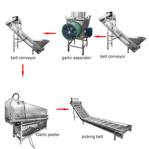 เครื่องปอกและสายผลิตภัณฑ์เครื่องปอกขิงอัตโนมัติสำหรับอุตสาหกรรมหลอดกระเทียม - Product Image 5