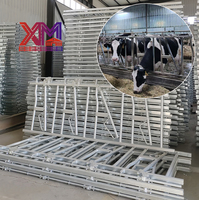 Sistema de Rieles Frontales para Control de Ganado, Puerta de Alimentación para Vacas de Granja Lechera, Galvanizado en Caliente, Personalizado de Fábrica