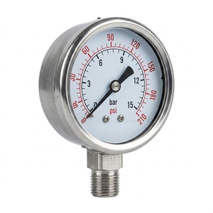 Jauge à huile en acier inoxydable fabriquée en Chine, jauge à eau axiale de 75 mm avec plusieurs spécifications - Product Image 1