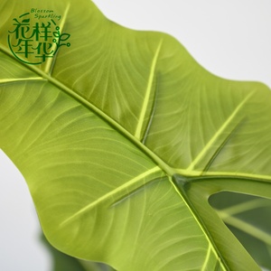 Vente en gros de <span class=keywords><strong>feuillage</strong></span> en plastique détachable de 140 cm, 11 feuilles, Syngonium Alocasia, ornement, OEM personnalisé pour l'aménagement paysager intérieur - Product Image 4