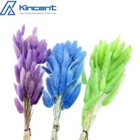 Articles de décoration pour la maison 60 tiges/bouquet séché queue de lapin herbe séchée Lagurus Ovatus fleur décoration de mariage fleurs Bouquets