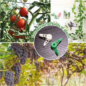 Pinces de pliage de plantes réglables, serre-tiges, écarteurs de branches d'arbres, pinces d'entraînement pour plantes - Product Image 4