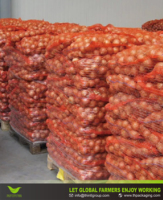 Sac en PP tissé respirant pour oignons, légumes, pommes de terre, ail, carottes – Idéal pour l'agriculture et l'emballage en ferme