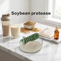 Poudre de protéase de soja, additif alimentaire pour le traitement des protéines de soja, 5000 UI/g, enzyme protéase de soja