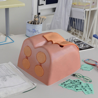 Modèle de simulateur de mannequin pour l'examen de la prostate pour la formation et la pratique médicale