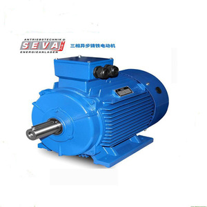 Moteur asynchrone triphasé Seva-Tec en fonte 300 pour équipement industriel - Product Image 1