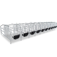 Nuevo Establo de Gestación para Cerdas, Jaula de Acero Inoxidable Galvanizado, Corral para Cerdos, Equipo de Cría de Cerdos con Larga Vida Útil