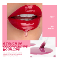 Lip Gloss pelembap alami, minyak bibir berkilau, memberi nutrisi, Label pribadi, 13 warna, kosmetik, ringan