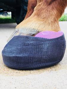 ชุดปฐมพยาบาลผ้าพัน<span class=keywords><strong>แผล</strong></span>ยืดหยุ่นได้สำหรับวัวแกะและม้า - Product Image 4