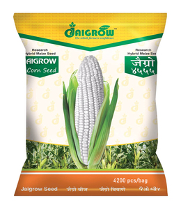 เครื่องนับเมล็ดพันธุ์ข้าวโพด คะน้า พริก และผัก รุ่น VisCount VB224 ความแม่นยำสูง พร้อมระบบนับและบรรจุ - Product Image 4