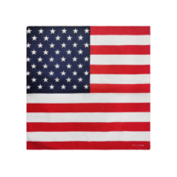 Usine de promotionnel personnalisé coton sérigraphié drapeau Bandana Haïti drapeau Bandana