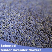Bunga Lavender Kering Kemasan Khusus untuk Tidur Nyenyak, Manfaat Kesehatan, Bunga Lavender Grosir, Teh Lavender, Kuncup Prancis