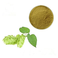 Humulus Lupulus Extract Flavonen Groothandel Bulk Hop Extract Flavonoïden Poeder 4%