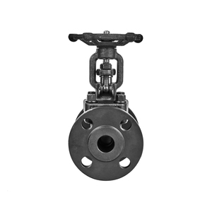 DN10 DN25 클래스 150lb 수동 탄소강 플랜지 글로브 밸브 물 오일 고압 용 초고진공 제어 - Product Image 3
