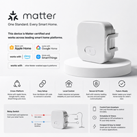 Module de relais JINK Matter Thread, contrôleur intelligent, mini-relais dissimulé pour l'éclairage, les rideaux et les systèmes d'automatisation domestique