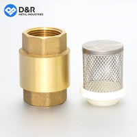 Vanne anti-retour en laiton pleine grandeur D&R personnalisée DN15 1/2''-2'' 4 pouces, vanne à ressort verticale à sens unique avec filtre en acier inoxydable