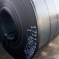 Lembaran Baja Karbon Rendah untuk Produksi Pipa ERW dan Tabung Furnitur