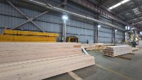 Coffrage en poutre de bois H20 WACO au design moderne, Matériaux de construction en acier en gros, Coffrage en poutre de bois d'épinette