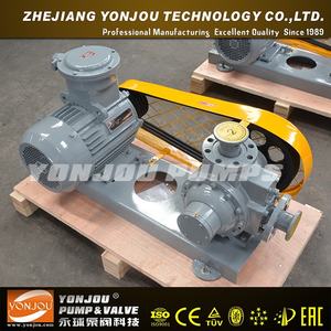 Draagbare Lpg Overdracht Pomp Elektrische Gear Pomp Luchtpomp Ce Roterende Pomp Standaard 1 Jaar Hoge Druk, lage Druk 380V Oem, Odm - Product Image 2