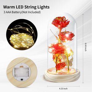 Vente chaude <span class=keywords><strong>rose</strong></span> led dans un dôme en verre <span class=keywords><strong>rose</strong></span> <span class=keywords><strong>rouge</strong></span> Beauty and The Beast <span class=keywords><strong>Rose</strong></span> Flowers pour cadeau de mariage - Product Image 4