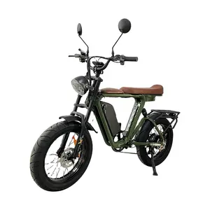 Vente chaude 20 roues Super vélo électrique 73 London 1000W 52V moteur eBike 22Ah Li-ion batterie Long siège gros pneu vélo électrique